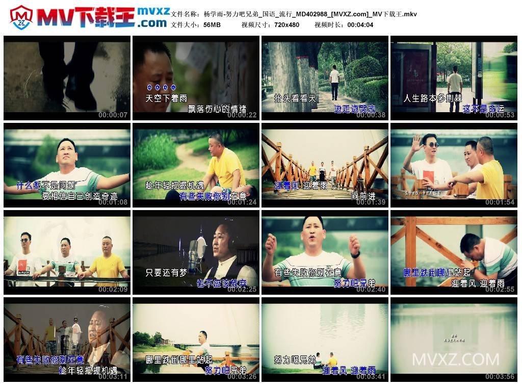 杨学雨-努力吧兄弟_国语_流行_MD402988